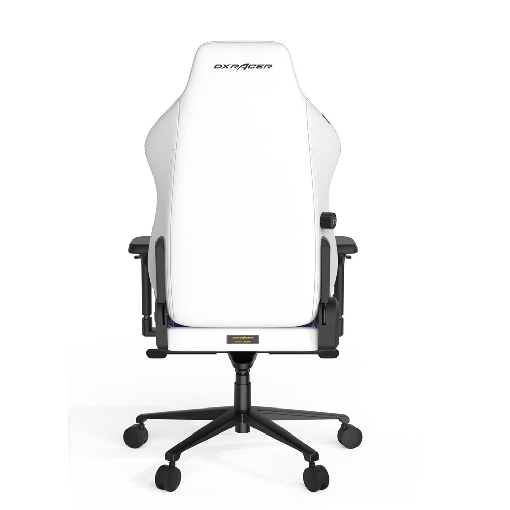 صندلی گیمینگ دی ایکس ریسر Craft Pro Stripes-3 آبی سفید